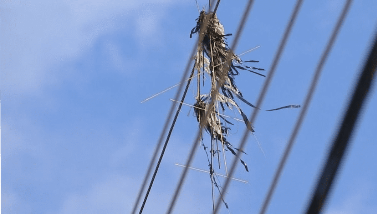 Criança empinando pipa em área aberta durante campanha de conscientização sobre os riscos da rede elétrica.