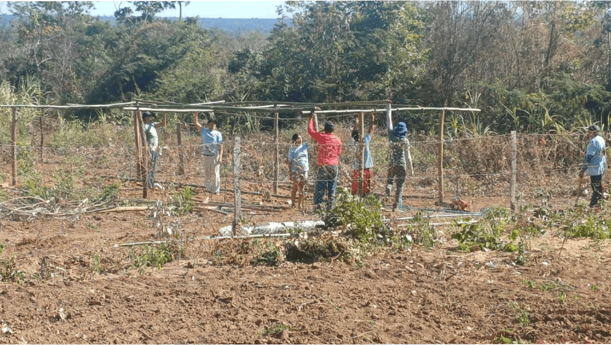 Integrantes da Aldeia Três Pedras participam do lançamento do projeto Raízes de Renda em Grajaú.