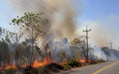 Queimada próxima à rede elétrica no Maranhão representa risco de acidentes e